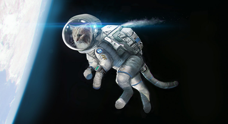 Illustration for article titled My God, It's Full Of Cats! The Very Best Artwork Of Cats In Space